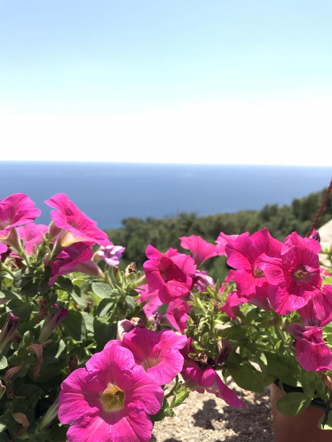 Il Terrazzo - Galatea Casa Vacanze غاليانو دل كابو المظهر الخارجي الصورة
